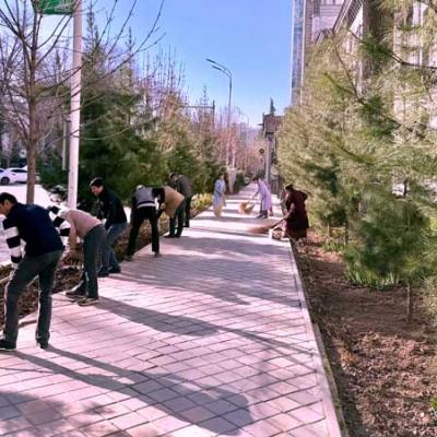 якшанбегӣ дар Консерваторияи миллӣ