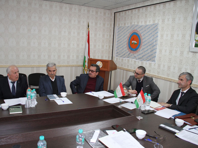 Мизи мудаввар