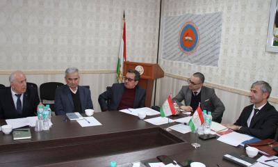 Мизи мудаввар