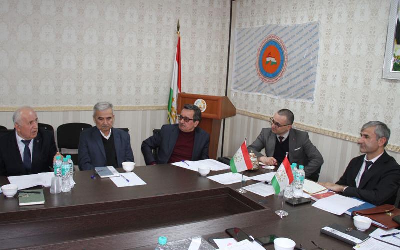 Мизи мудаввар